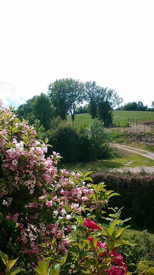 Chambre d'hôtes Comme une évidence Clairvaux-les-Lacs Exterior foto